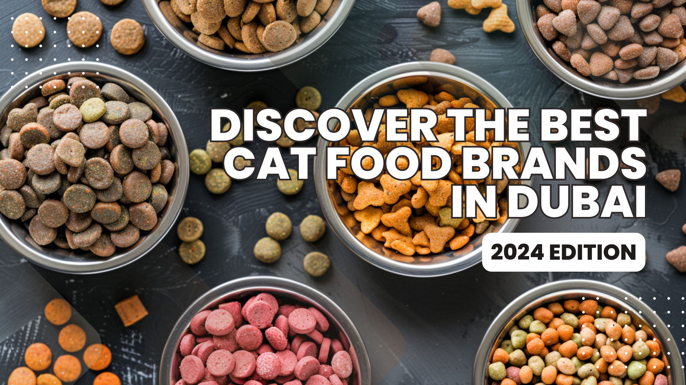 Image of assorted cat food products from top brands in Dubai for 2024.