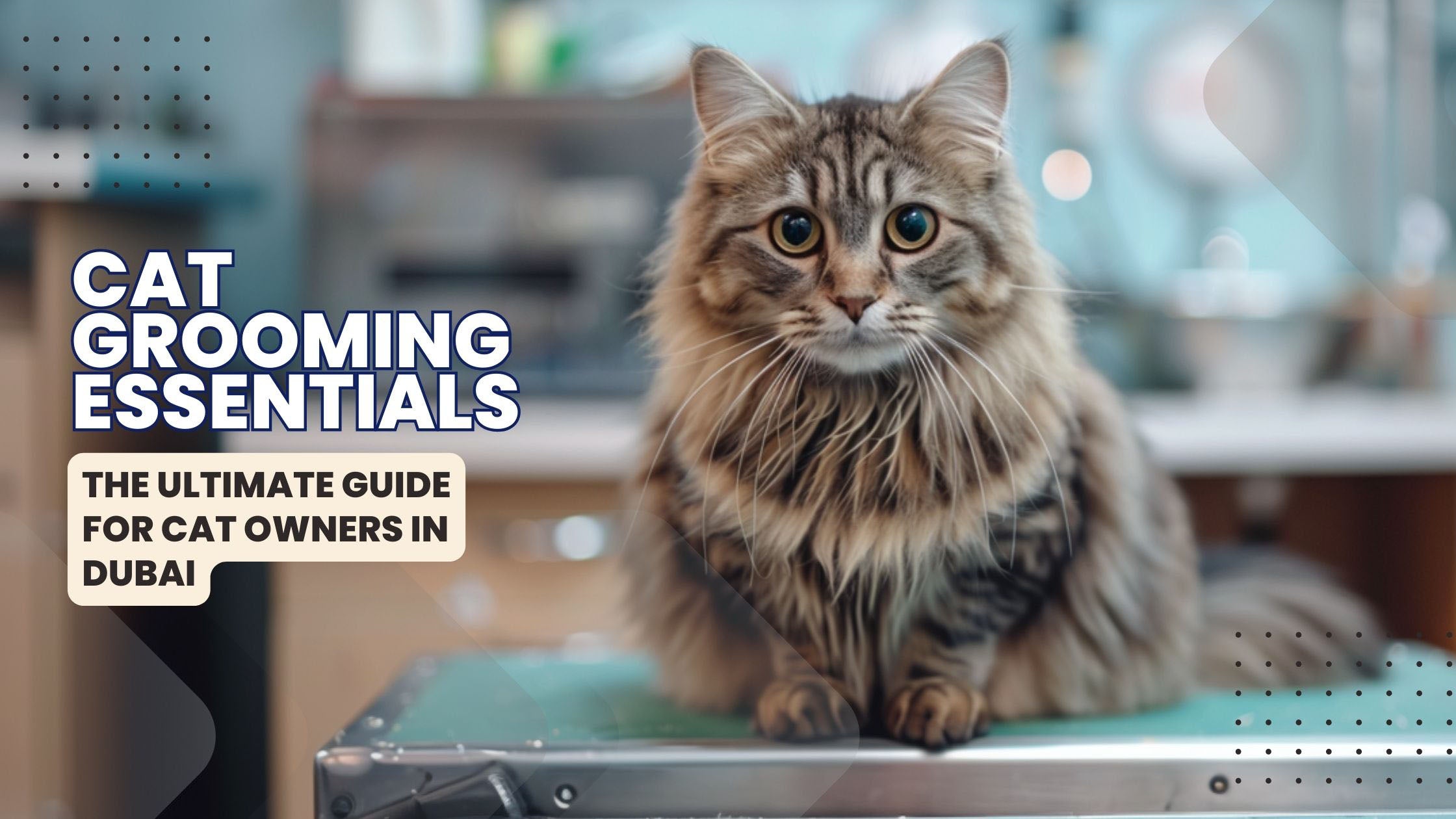 A sleek, well-groomed cat with a shiny coat sitting elegantly on a grooming table surrounded by premium grooming tools and Catmer's nutritious cat food, highlighting the importance of holistic cat care for a healthy and vibrant coat.