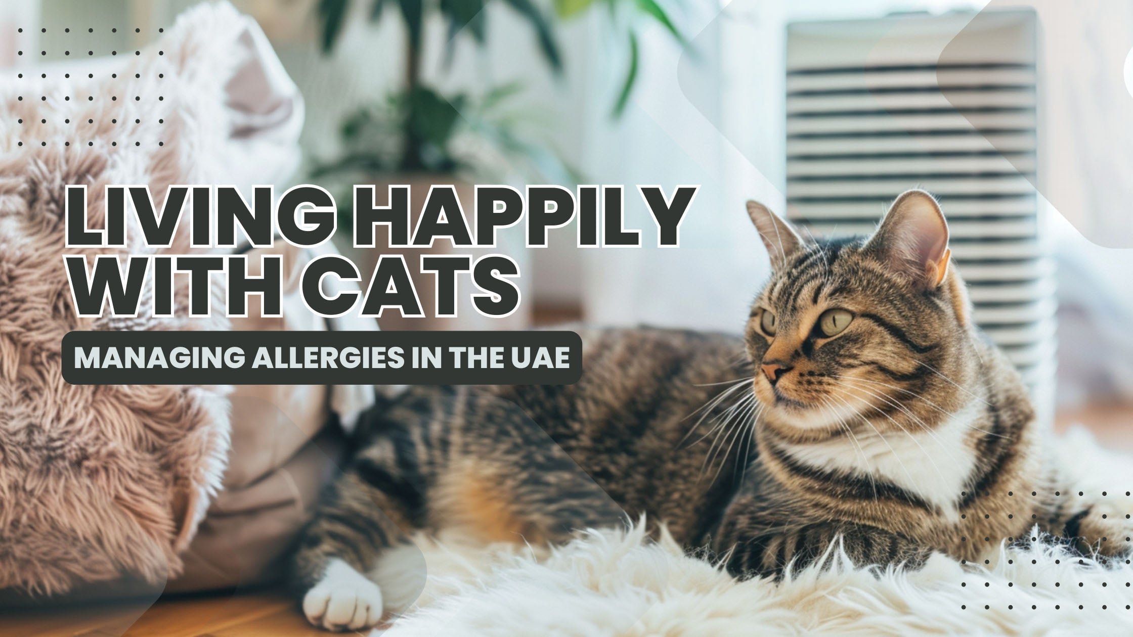 Navigating Cat Allergies: A Guide for UAE Pet Owners