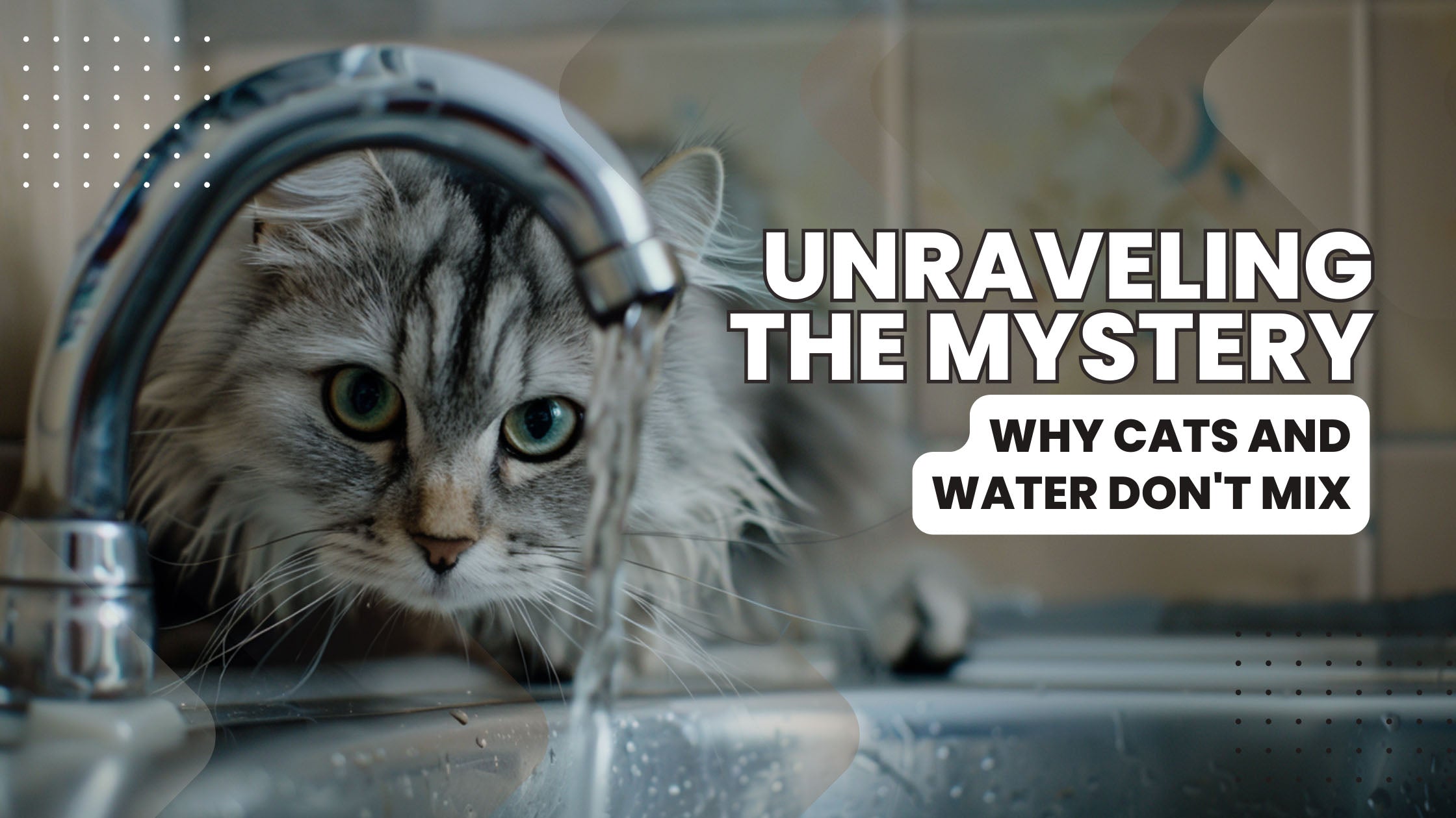 A curious cat peering at a dripping faucet, symbolizing feline water aversion. Catmer cat food brand in dubai, uae
