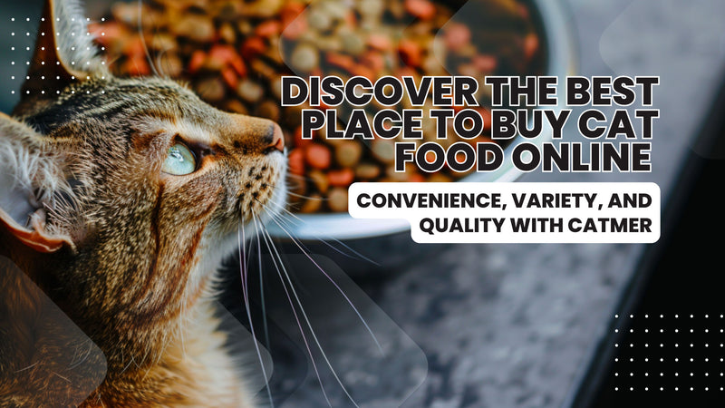 Buy Cat Food Online in Dubai: The Ultimate Guide