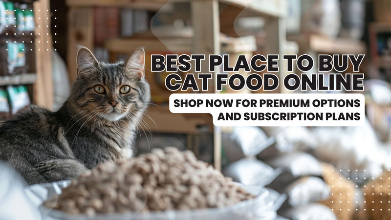Cat Food in Dubai: The Ultimate Guide to Buying Online
