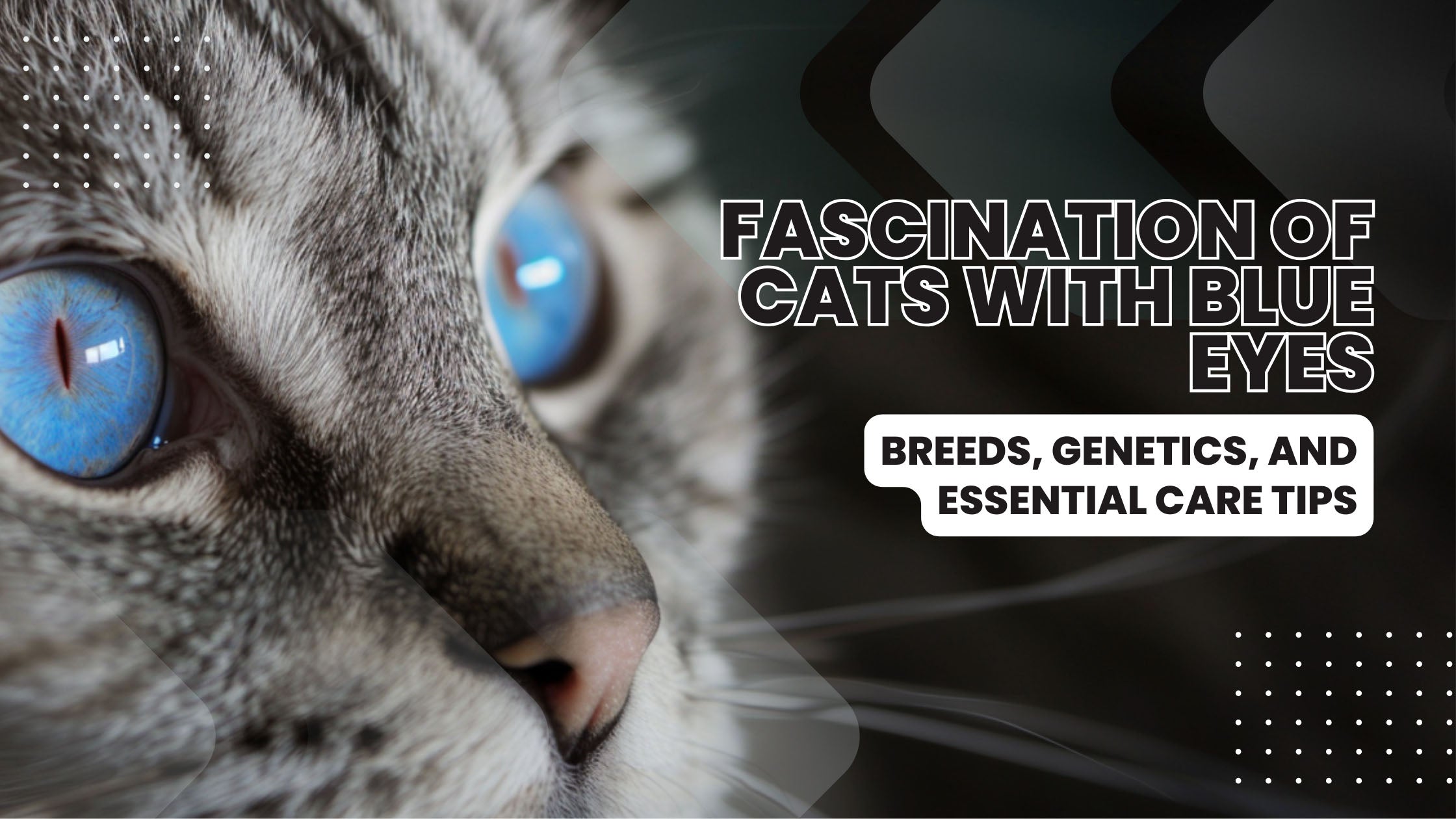 Cats with Blue Eyes: Exploring the Fascination and Care Tips