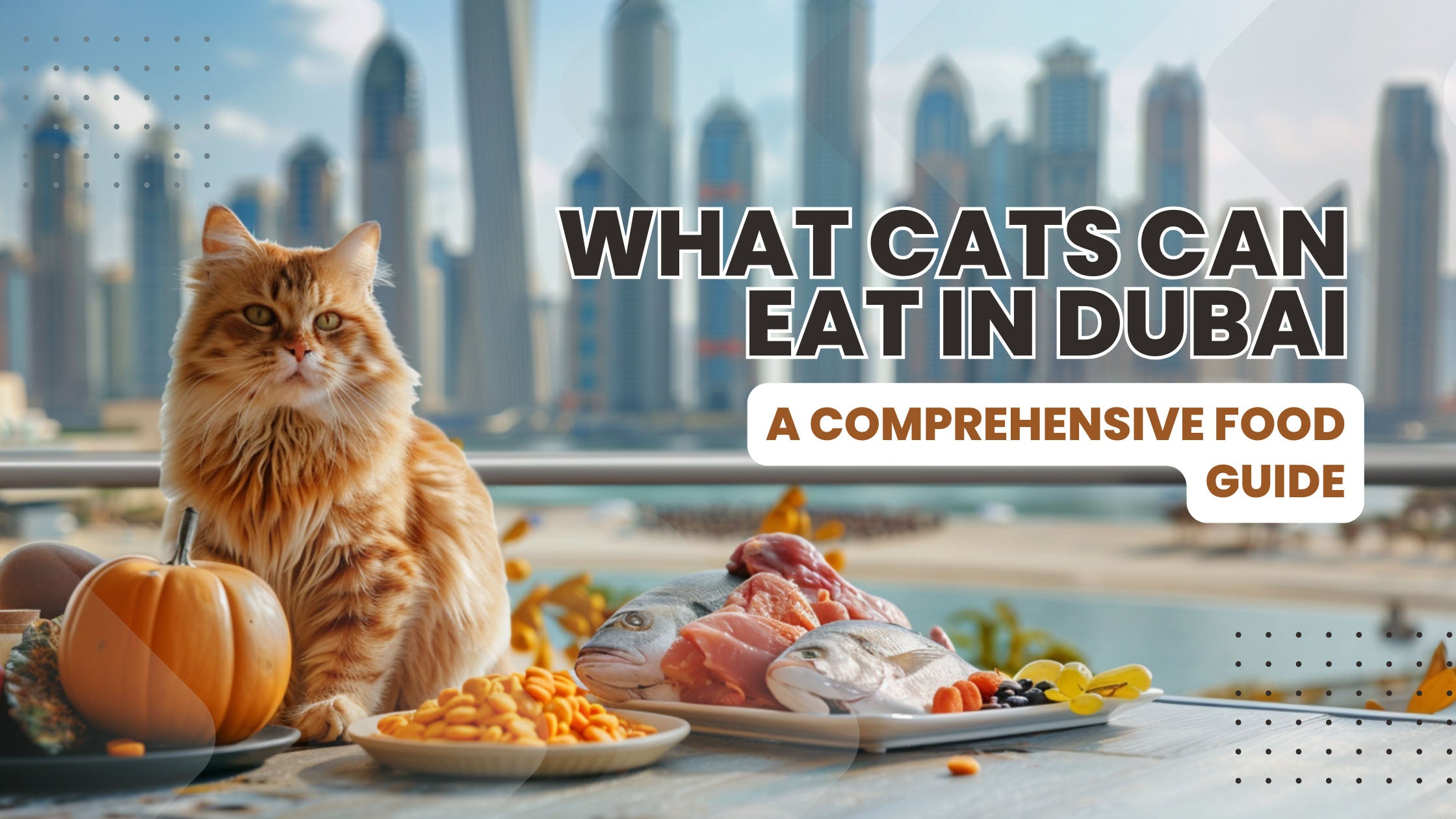 A variety of cat-safe foods displayed, including chicken, fish, and pumpkin, in front of a Dubai skyline.