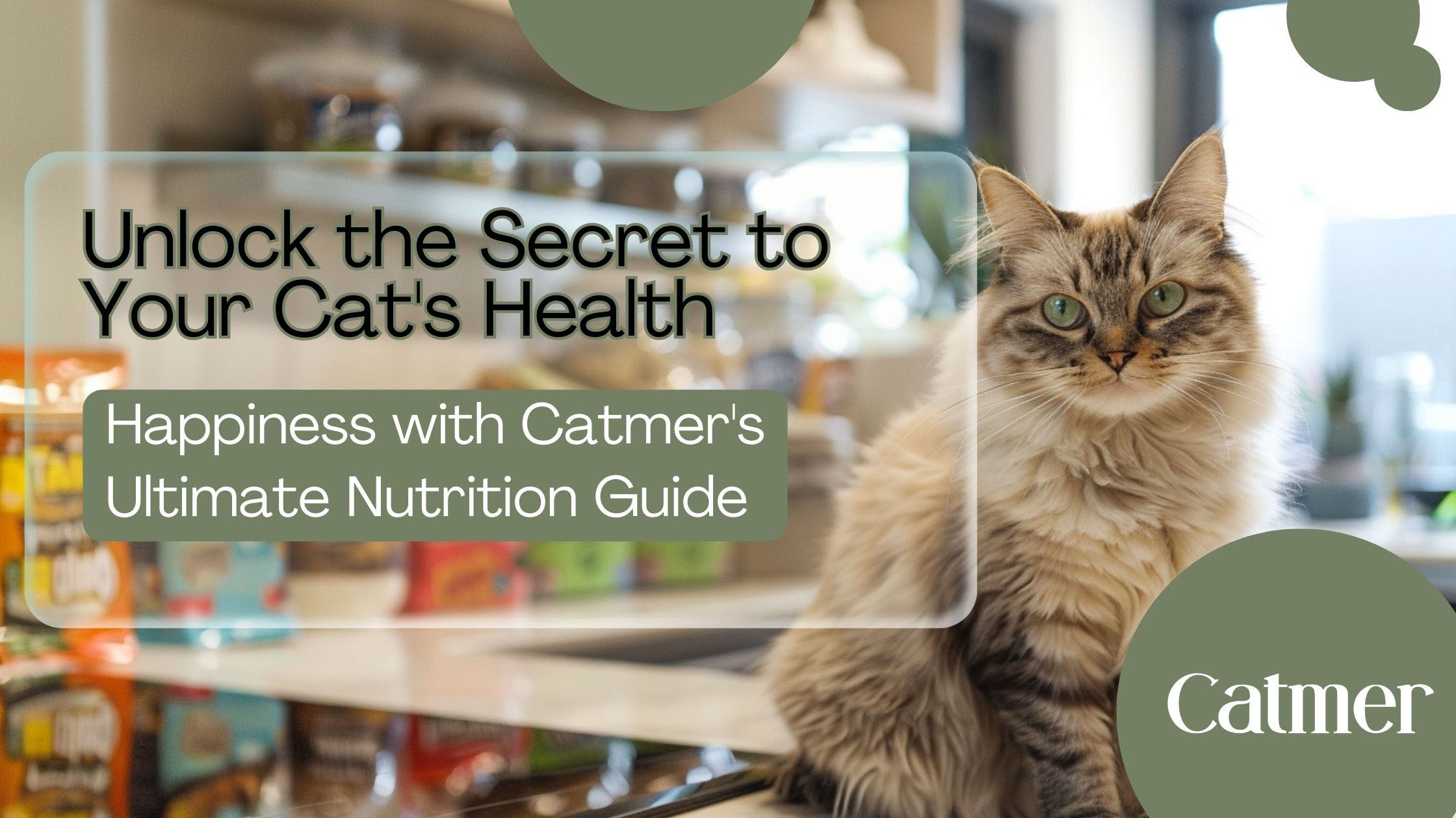 A vibrant display of Catmer's premium cat food varieties on a well-lit kitchen countertop, emphasizing the diversity and quality of nutritional options available for cats in Dubai, showcasing bags and cans labeled with the Catmer brand