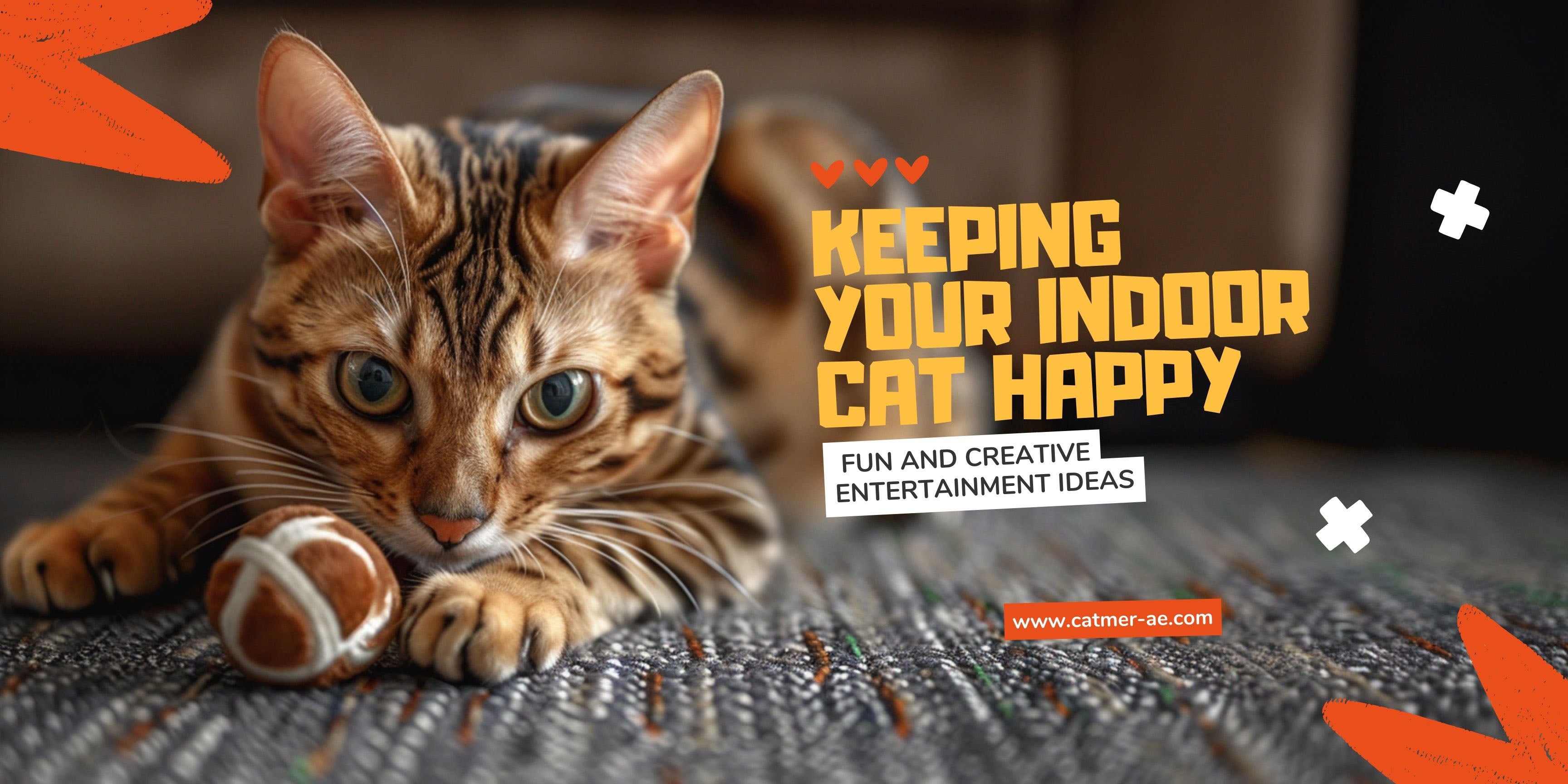 An image of a joyful cat engaging with a colorful DIY toy, symbolizing innovative and fun entertainment solutions for indoor cats, as featured in Catmer's comprehensive guide.