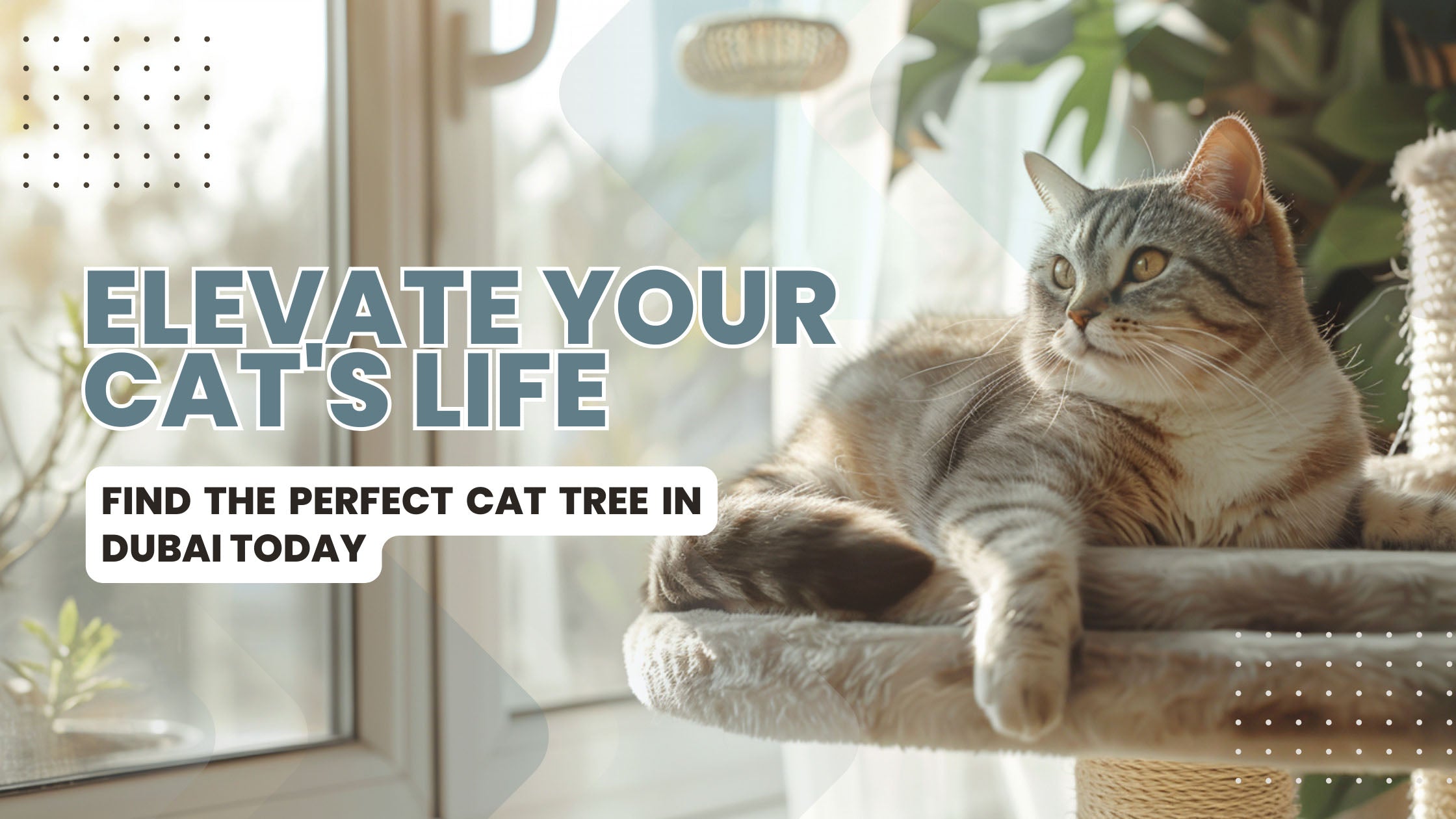 The Ultimate Guide to Choosing the Perfect Cat Tree in Dubai