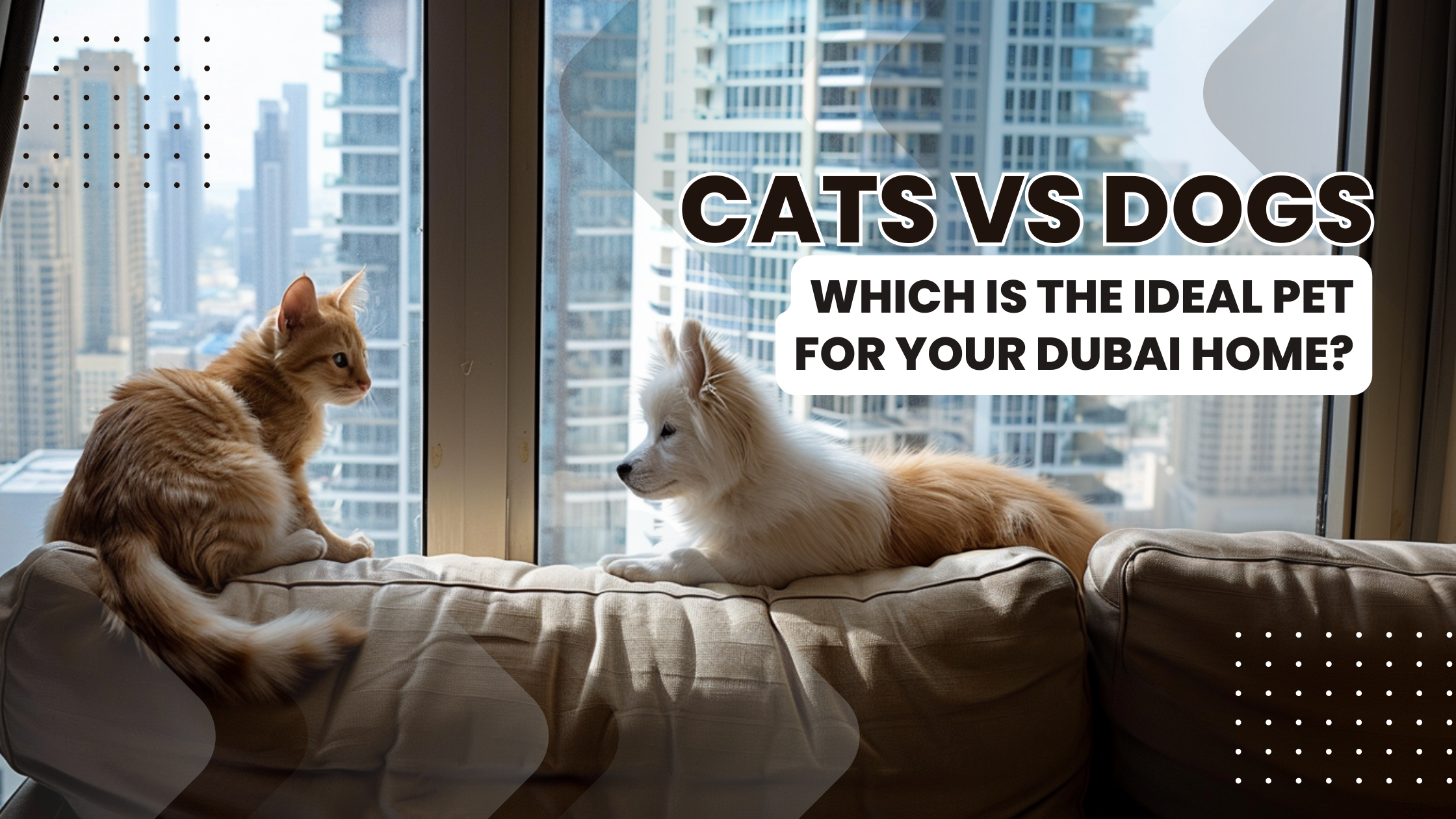 Cats vs. Dogs: Which Is Better for Your Home in Dubai?