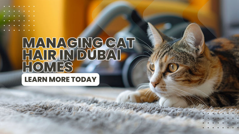 Your Comprehensive Guide to Managing Cat Hair in Dubai Homes