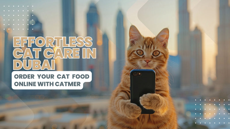 Explore Catmer's hassle-free online cat food shopping in the bustling city of Dubai, showcasing a seamless interface on a digital device with the backdrop of Dubai’s iconic skyline, illustrating the convenience of home delivery.